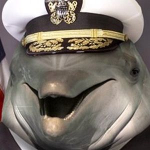 Meet your Posher, Isaac